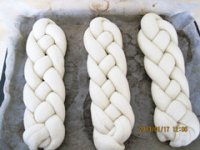 养生食谱大放送