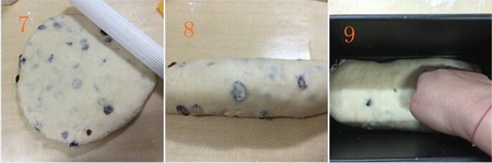 蜂香<a href=/shicai/guopin/ManYueMei/index.html target=_blank><u>蔓越莓</u></a><a href=/shicai/mimian/TuSi/index.html target=_blank><u>吐司</u></a>步骤7-9