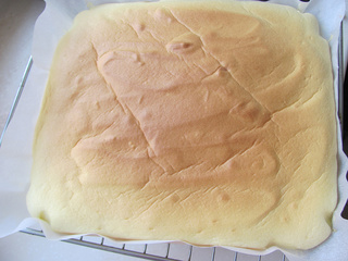 <a href=/shicai/guopin/MangGuo/index.html target=_blank><u>芒果</u></a>蛋糕卷