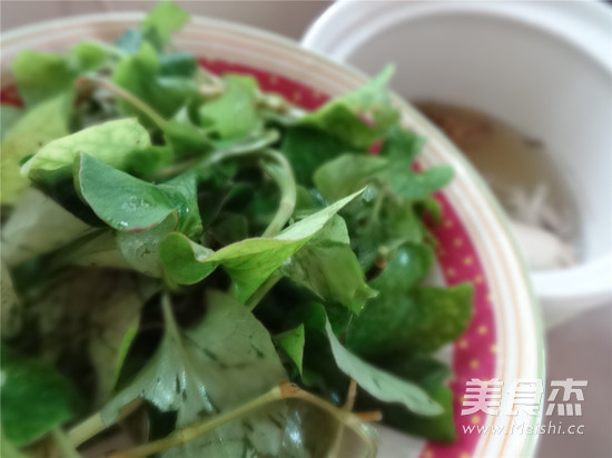 <a href=/shicai/shucai/YuXingCao/index.html target=_blank><u>鱼腥草</u></a>炖鸡汤的做法