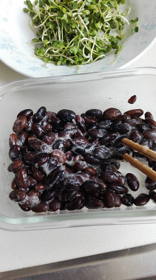 <a href=/shicai/shucai/LuoBo/index.html target=_blank><u>萝卜</u></a>苗拌黑纳豆