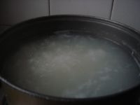 养生食谱大放送