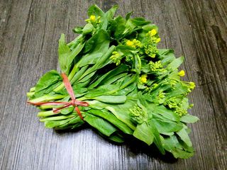 清炒<a href=/shicai/shucai/YouCai/index.html target=_blank><u>油菜</u></a>苔