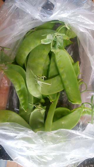 素炒<a href=/shicai/shucai/HeLanDou/index.html target=_blank><u>荷兰豆</u></a>