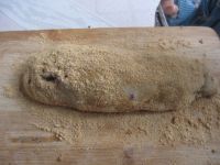 养生食谱大放送