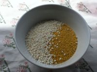 养生食谱大放送