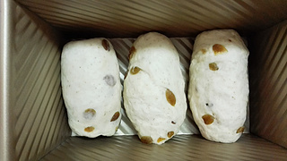 全麦<a href=/shicai/guopin/PuTaoGan/index.html target=_blank><u><a href=/shicai/guopin/PuTao/index.html target=_blank><u>葡萄</u></a>干</u></a><a href=/shicai/mimian/TuSi/index.html target=_blank><u>吐司</u></a>