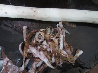 <a href=/shicai/shucai/ShanYao/index.html target=_blank><u>山药</u></a><a href=/shicai/mimian/YuMi/index.html target=_blank><u>玉米</u></a><a href=/shicai/rouqin/LongGu/index.html target=_blank><u>龙骨</u></a>汤