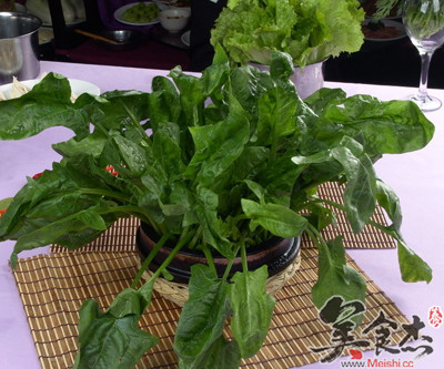 对孕妇胎儿最有利的食物