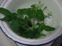 养生食谱大放送