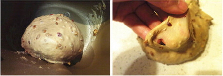 红<a href=/shicai/guopin/Zao/index.html target=_blank><u>枣</u></a>核<a href=/shicai/guopin/Tao/index.html target=_blank><u>桃</u></a>软欧步骤3-4