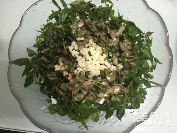 凉拌花椒芽的做法