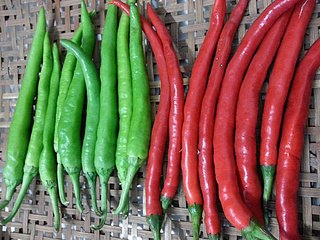 <a href=/shicai/rouqin/JiDan/index.html target=_blank><u>鸡蛋</u></a>炒虾