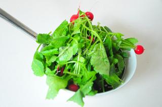 橙汁<a href=/shicai/shucai/LuoBo/index.html target=_blank><u>萝卜</u></a>苗