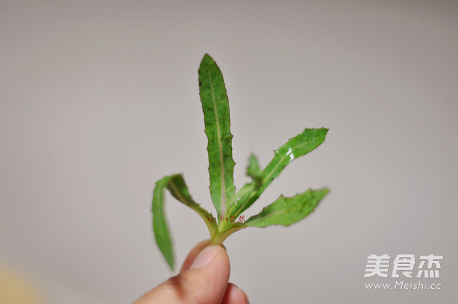 凉拌苦须的做法