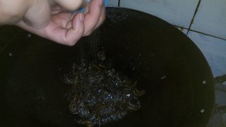 <a href=/shicai/shucai/JiuCai/index.html target=_blank><u>韭菜</u></a>鳝鱼丝