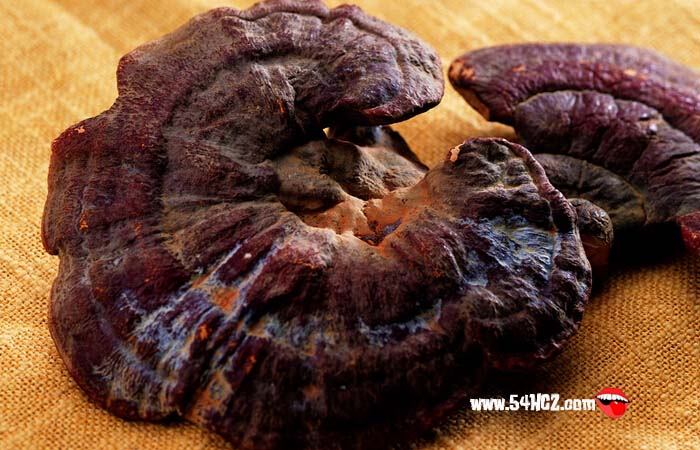 <a href=/shicai/shucai/LingZhi/index.html target=_blank><u>灵芝</u></a>的功效与作用1