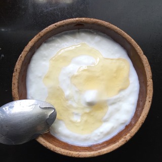 自制<a href=/shicai/mimian/SuanNai/index.html target=_blank><u>酸奶</u></a>盆栽