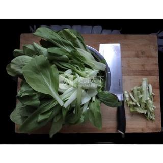 拌<a href=/shicai/shucai/QingCai/index.html target=_blank><u>青菜</u></a>