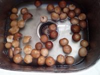 养生食谱大放送