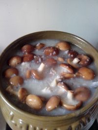 养生食谱大放送