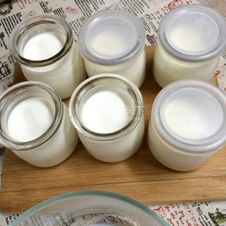 自制<a href=/shicai/mimian/SuanNai/index.html target=_blank><u>酸奶</u></a>