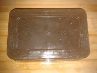 养生食谱大放送