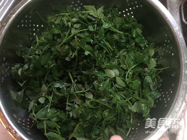 凉拌花椒芽的做法