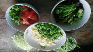 <a href=/shicai/shucai/DouJiao/index.html target=_blank><u>豆角</u></a>焖面