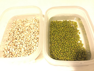 <a href=/shicai/mimian/LvDou/index.html target=_blank><u>绿豆</u></a>薏仁汤