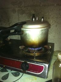 养生食谱大放送