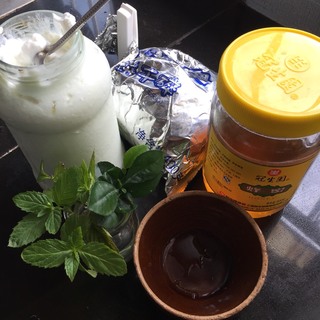 自制<a href=/shicai/mimian/SuanNai/index.html target=_blank><u>酸奶</u></a>盆栽