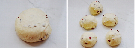 中种<a href=/shicai/guopin/ManYueMei/index.html target=_blank><u>蔓越莓</u></a><a href=/shicai/mimian/NaiYou/index.html target=_blank><u>奶油</u></a><a href=/shicai/mimian/TuSi/index.html target=_blank><u>吐司</u></a>步骤5-6