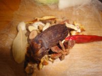 养生食谱大放送