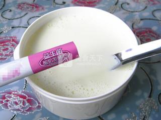 自制<a href=/shicai/mimian/SuanNai/index.html target=_blank><u>酸奶</u></a>