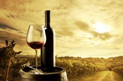 喝葡萄酒的好处和坏处,自制葡萄酒的酿制方法