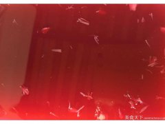 清凉杨梅冻的做法