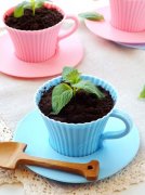 蓝莓酱酸奶盆栽