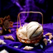 贝壳黑芝麻花卷的做法